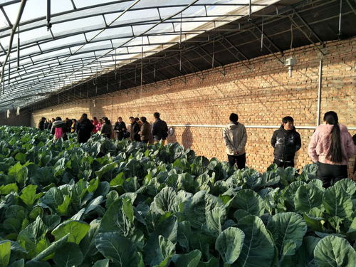 助推北京農業信息化發展，奧科美獲北京市農產品產銷信息協會表彰